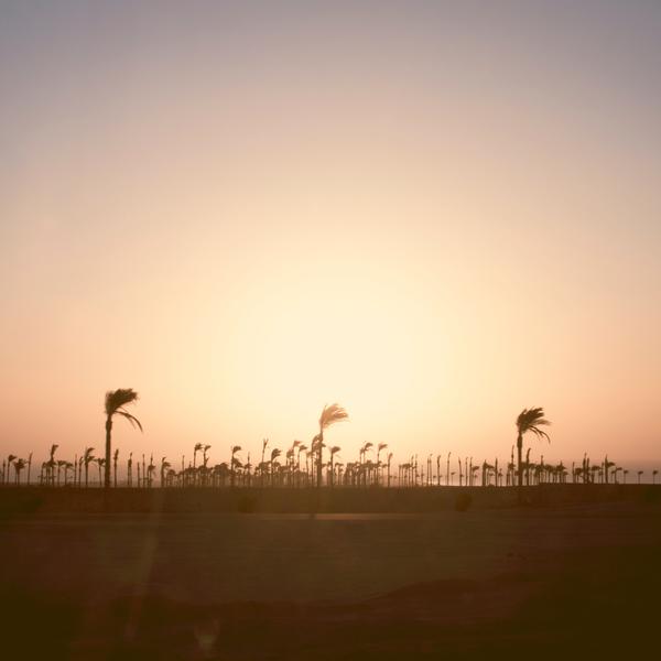 Quod libero asperiores rem excepturi 