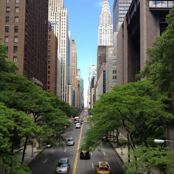 Litora torquent per conubia nostra